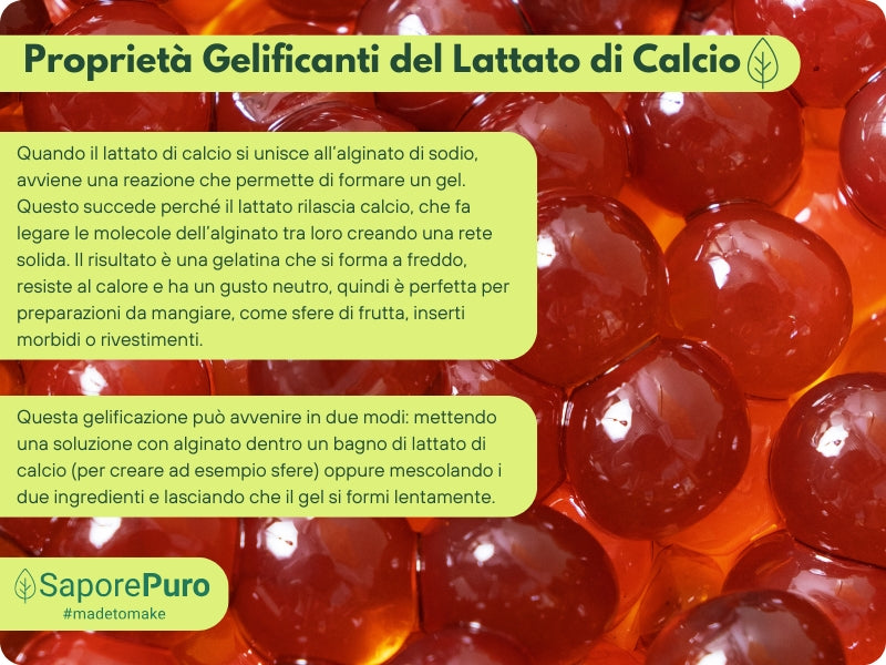Lattato di calcio in polvere SaporePuro, ingrediente per cucina e forno, usato in sferificazione molecolare, confezione con due unità