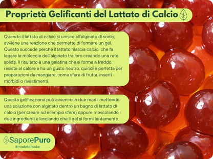 Lattato di calcio in polvere SaporePuro, ingrediente per cucina e forno, usato in sferificazione molecolare, confezione con due unità
