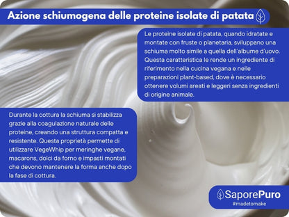 Proteine isolate di patata vegane VegeWhip di SaporePuro, proteine vegetali per dolci e ricette vegane, immagine del prodotto in polvere