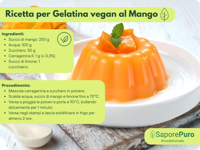 Carragenina Kappa (E407) di SaporePuro in confezione, polvere bianca per uso alimentare, in imballaggio sigillato con etichetta.