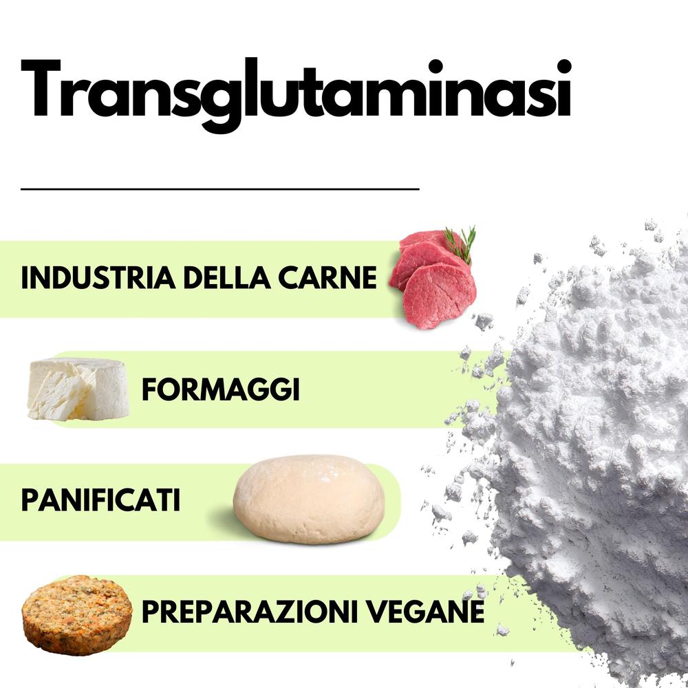 Polvere di transglutaminasi SaporePuro, enzima alimentare professionale per migliorare la coesione e la lavorabilità degli alimenti