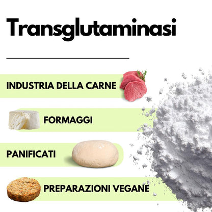 Polvere di transglutaminasi SaporePuro, enzima alimentare professionale per migliorare la coesione e la lavorabilità degli alimenti