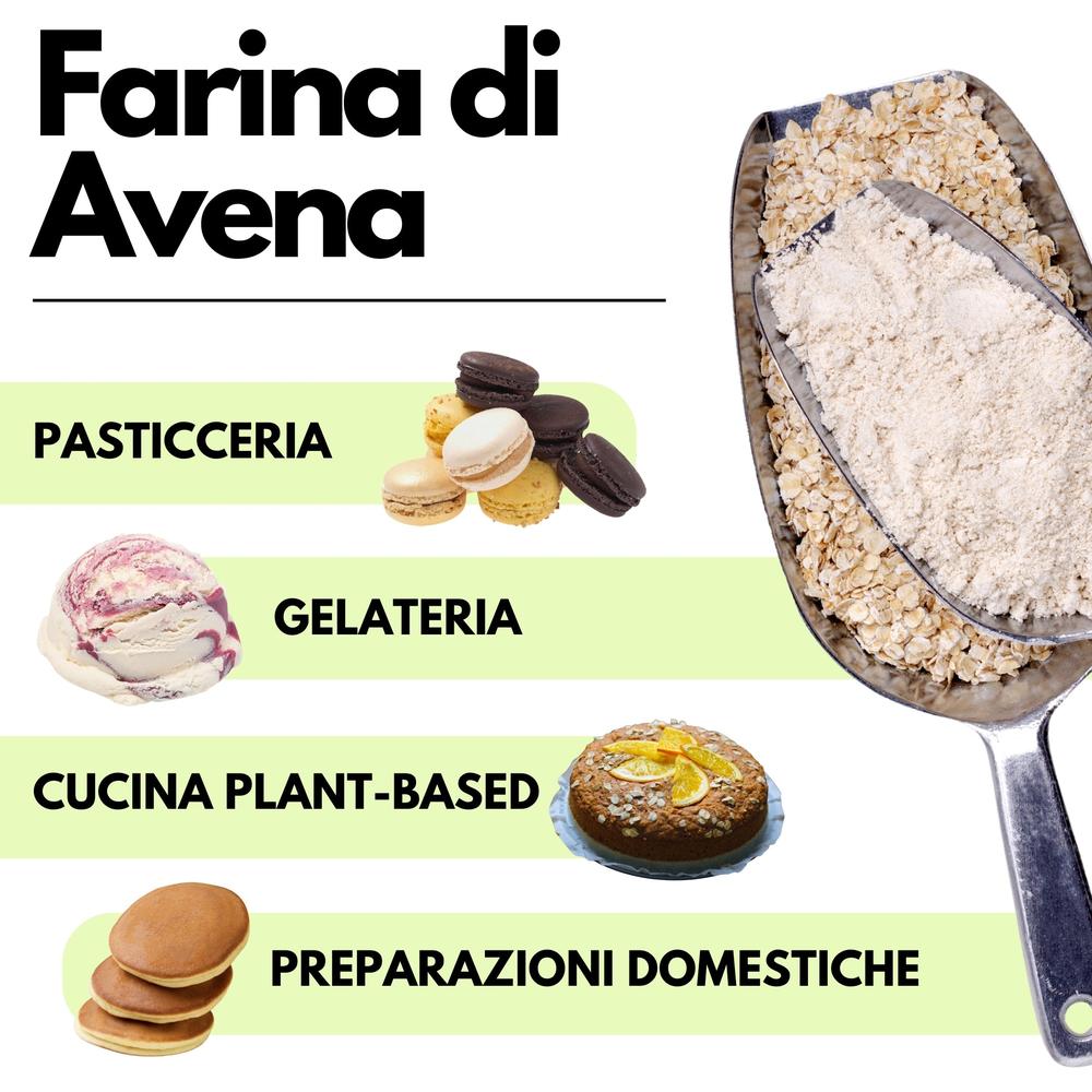 Farina di Avena senza glutine SaporePuro in sacchetto da 1kg, con chicchi di avena visibili, ideale per ricette salutari