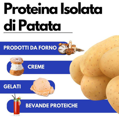 Proteine isolate di patata Vegane VegeWhip di SaporePuro, albume vegetale per ricette vegane, in polvere bianca.